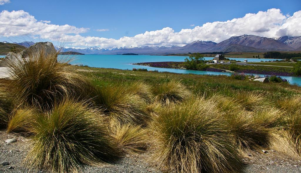 Phoenix Motels Temuka Luaran gambar